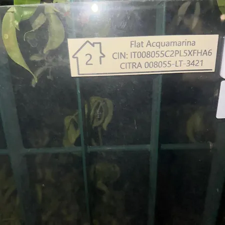 Flat Acquamarina
